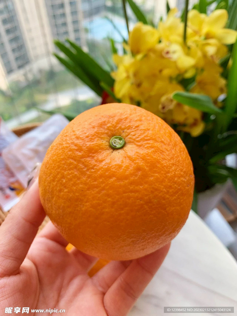 橙子