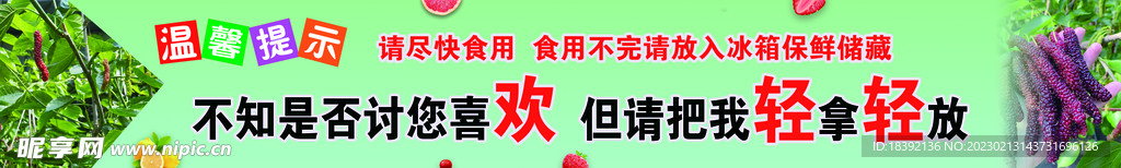 桑椹温馨提示
