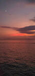 海