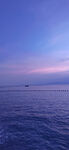 海
