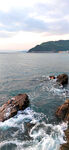 海