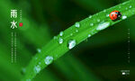 雨水节气