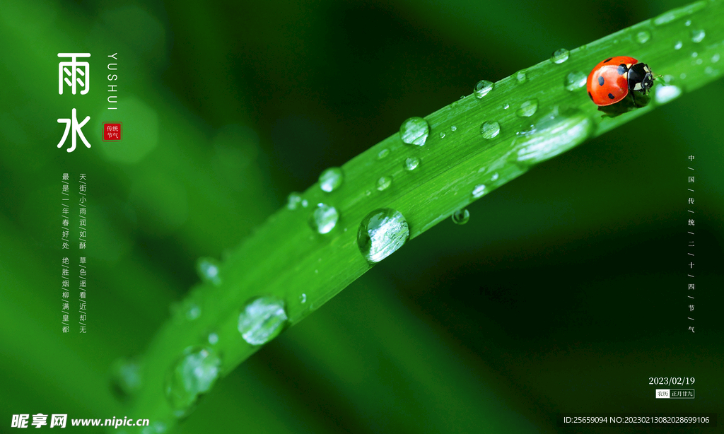 雨水节气