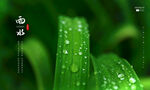 雨水节气