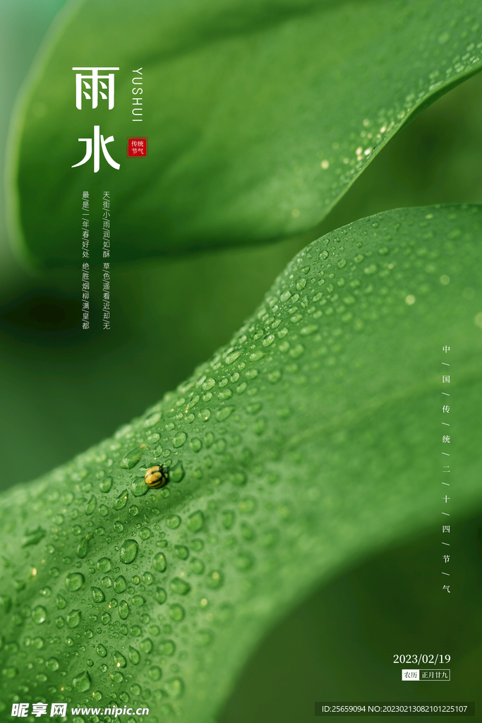 雨水海报