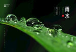 雨水