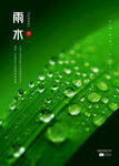 雨水海报