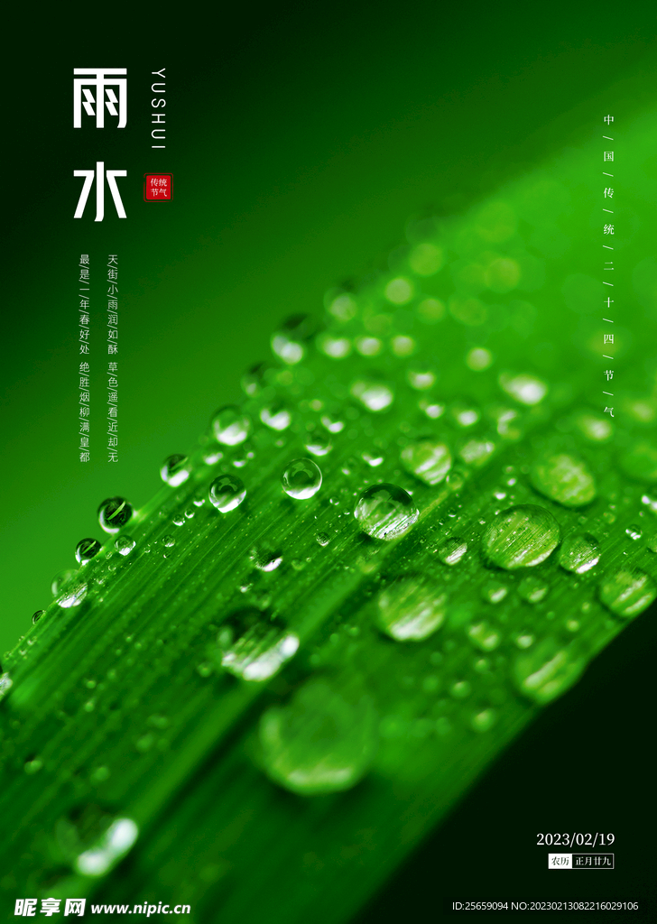 雨水海报