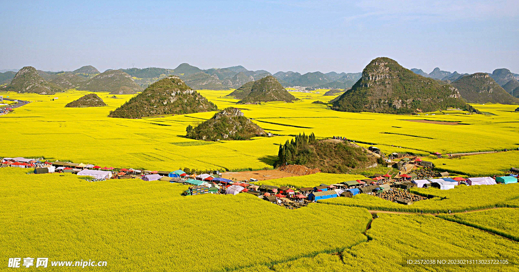 罗平油菜花景区