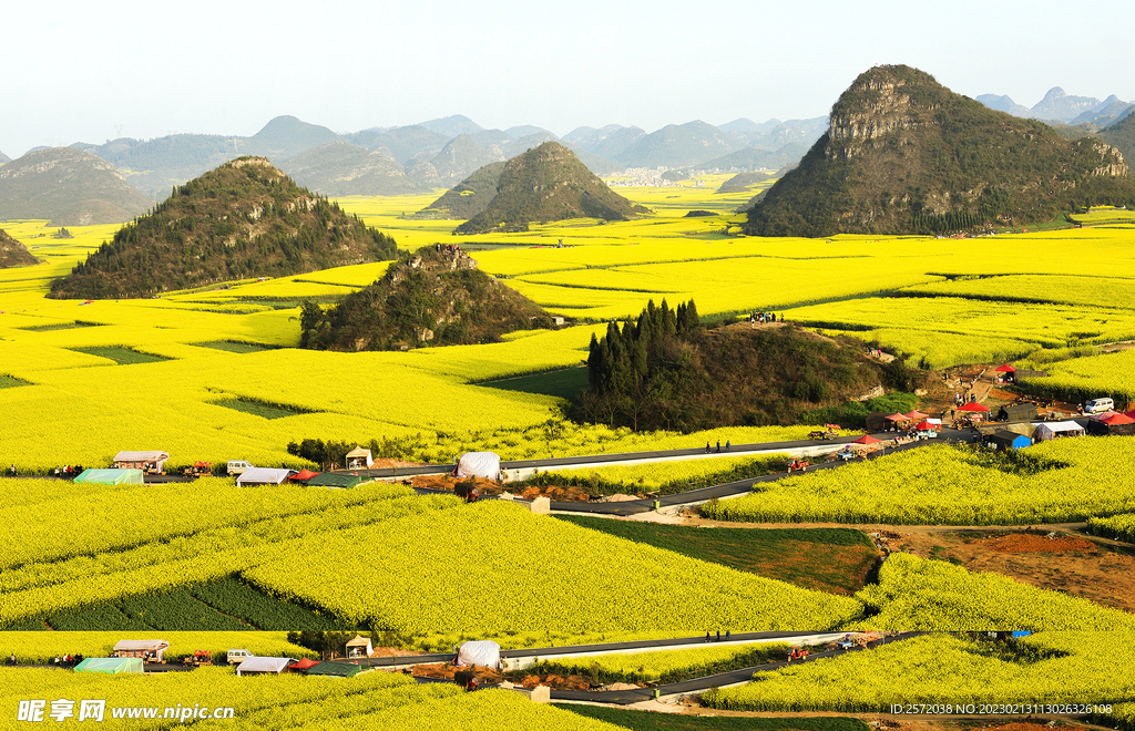 罗平油菜花景区