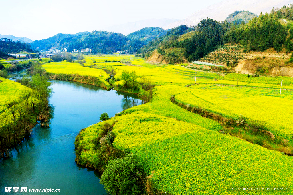 罗平油菜花景区