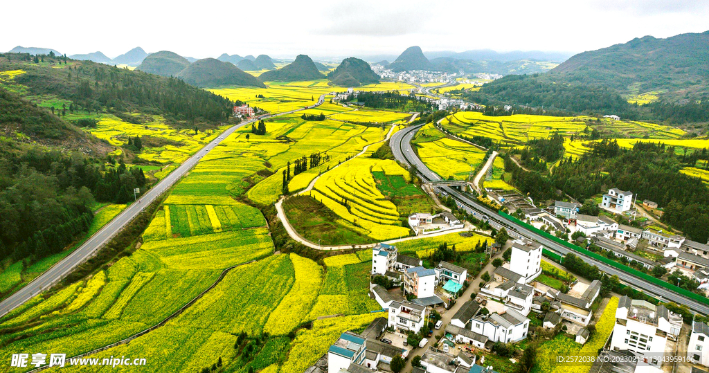 罗平油菜花景区