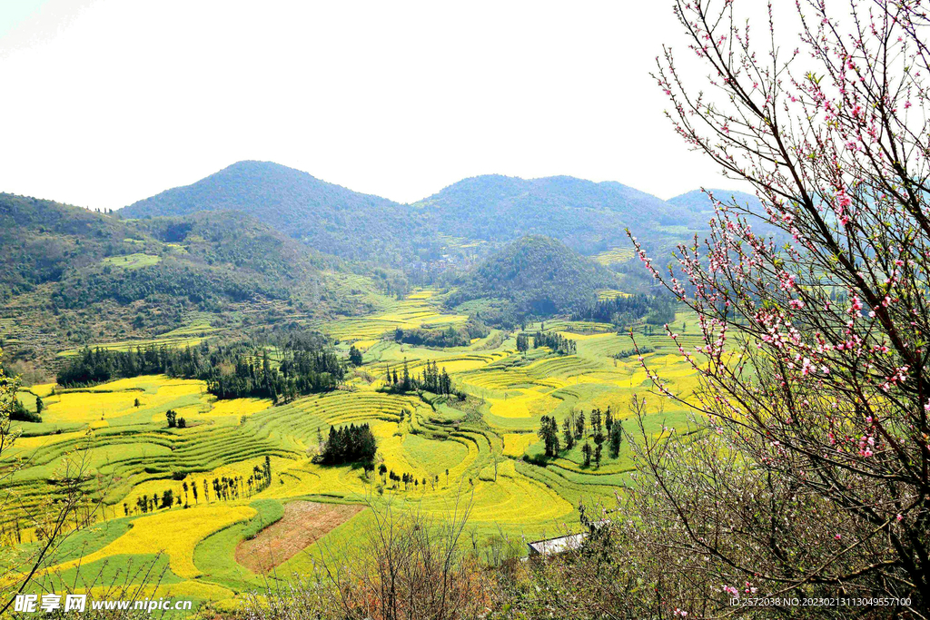 罗平油菜花景区