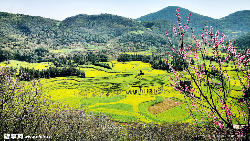 罗平油菜花景区