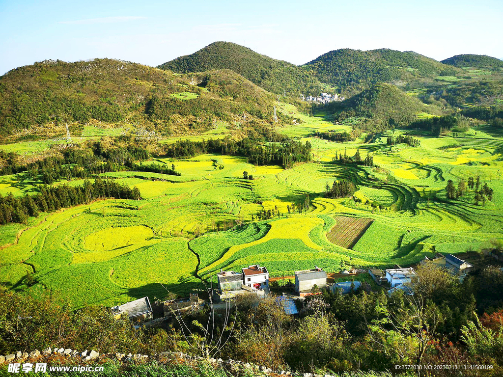 罗平油菜花景区