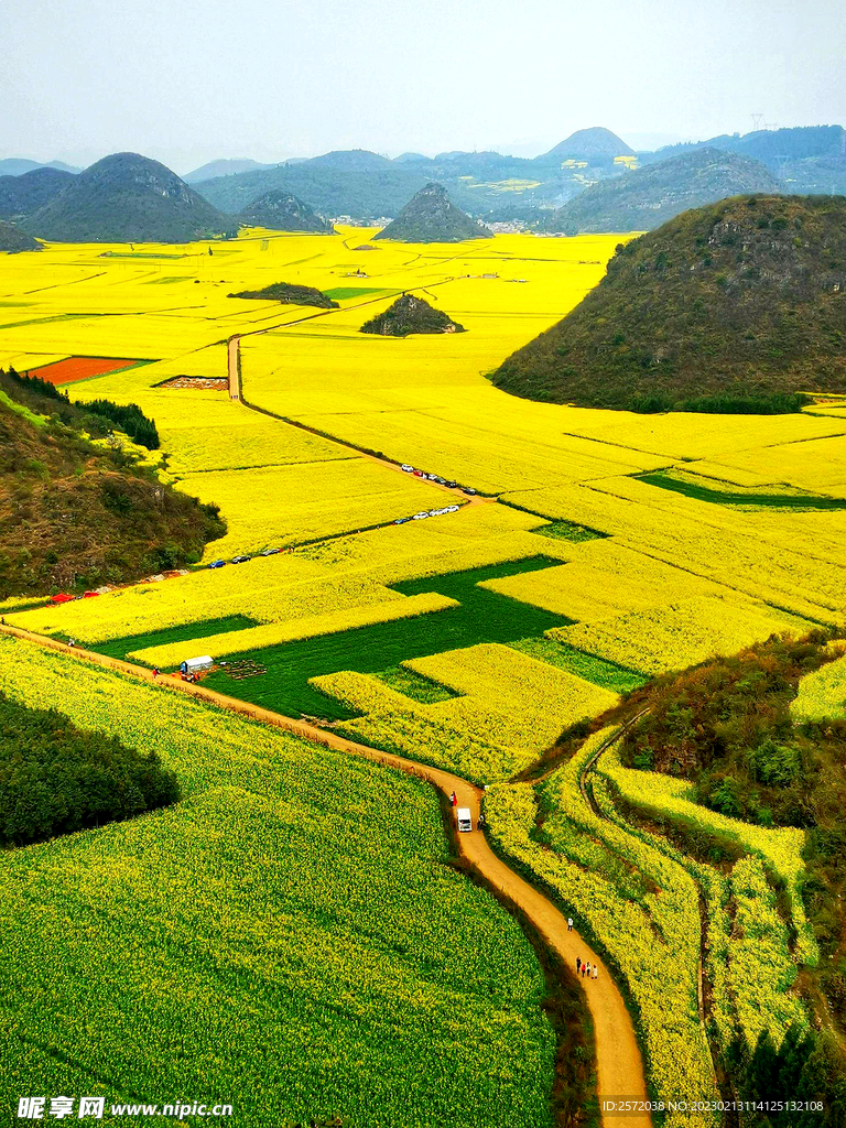 罗平油菜花景区