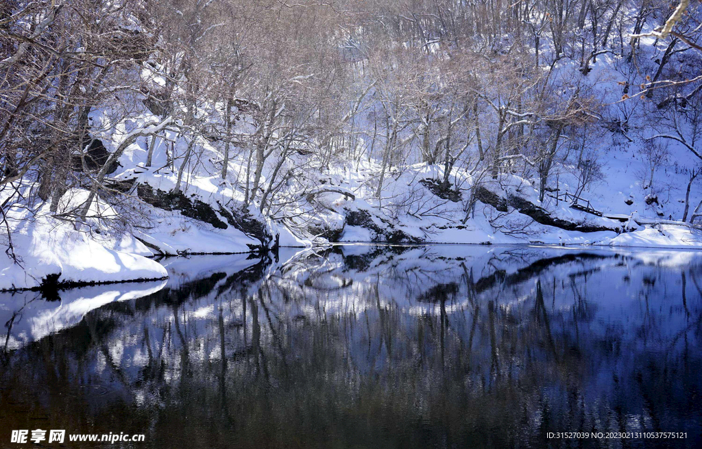 森林雪景图