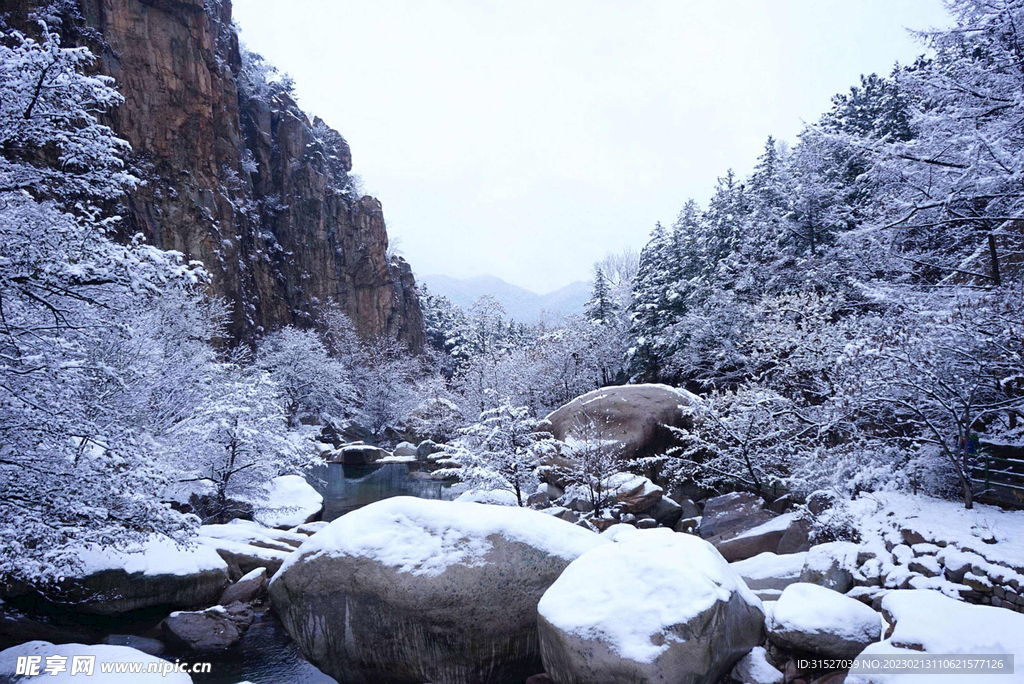 山里面的雪景