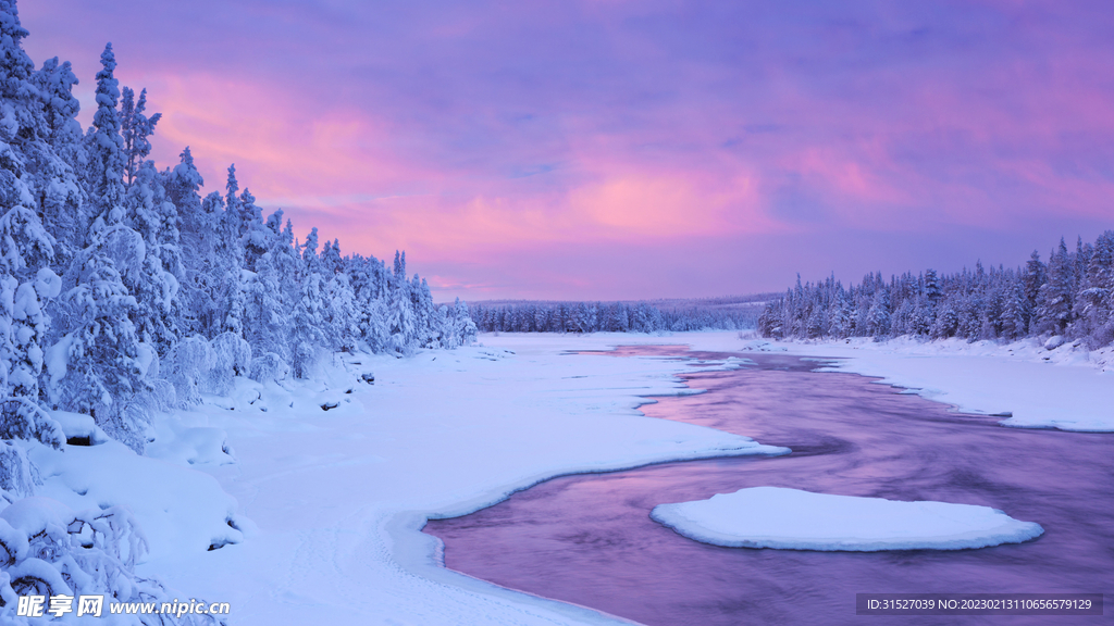 唯美森林雪景