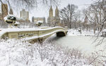 公园雪景
