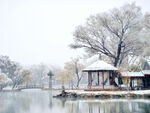 公园雪景