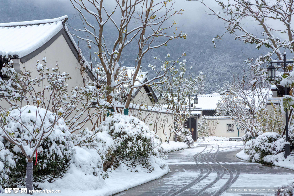 村庄雪景