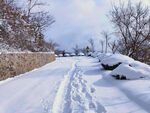 山路雪景