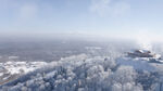 森林雪景图