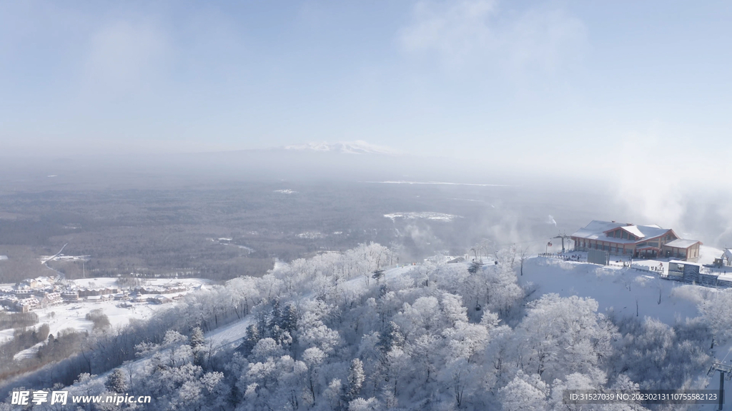 森林雪景图