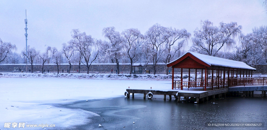 公园雪景图