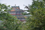 林中寺庙