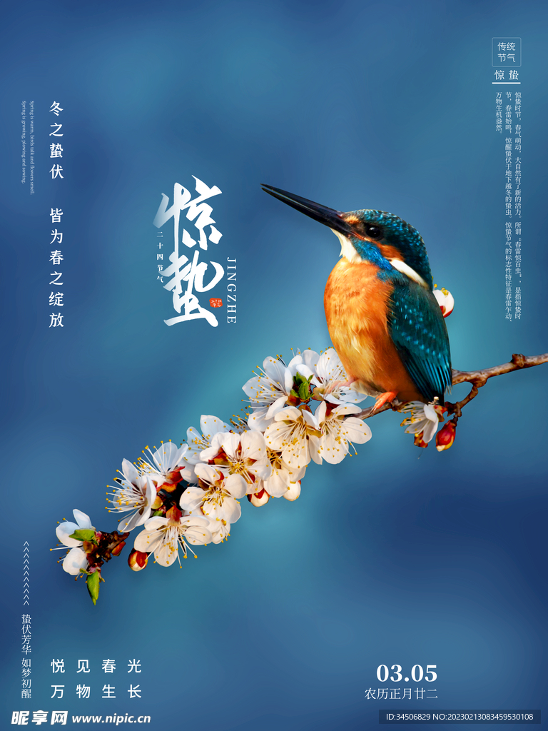 惊蛰24节气