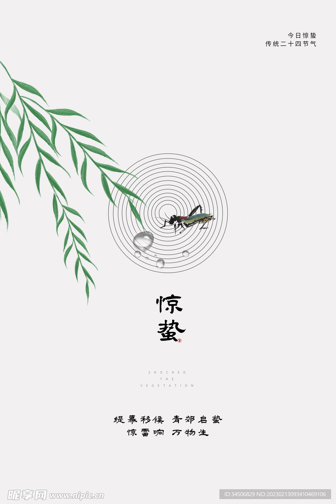 惊蛰白色海报