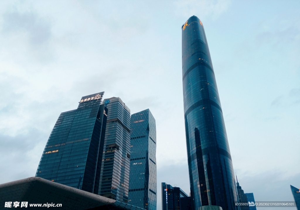 广州钢铁树林