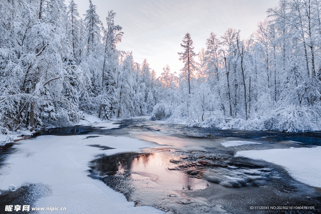 寒冷冬季树木与冰封的河流