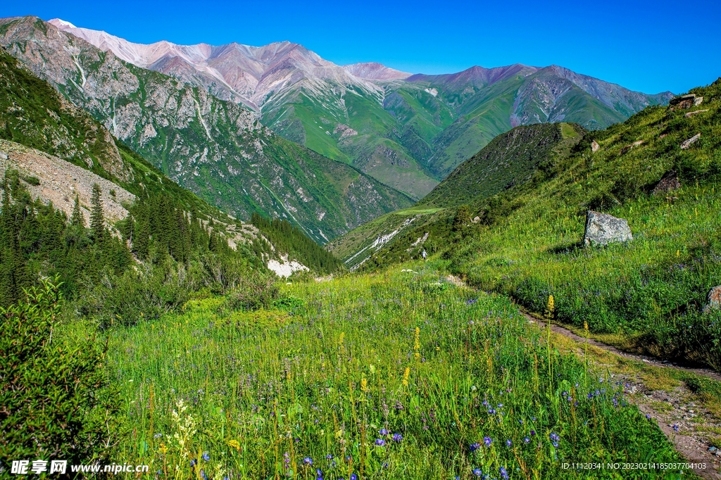 花草丛远处的山峦风光