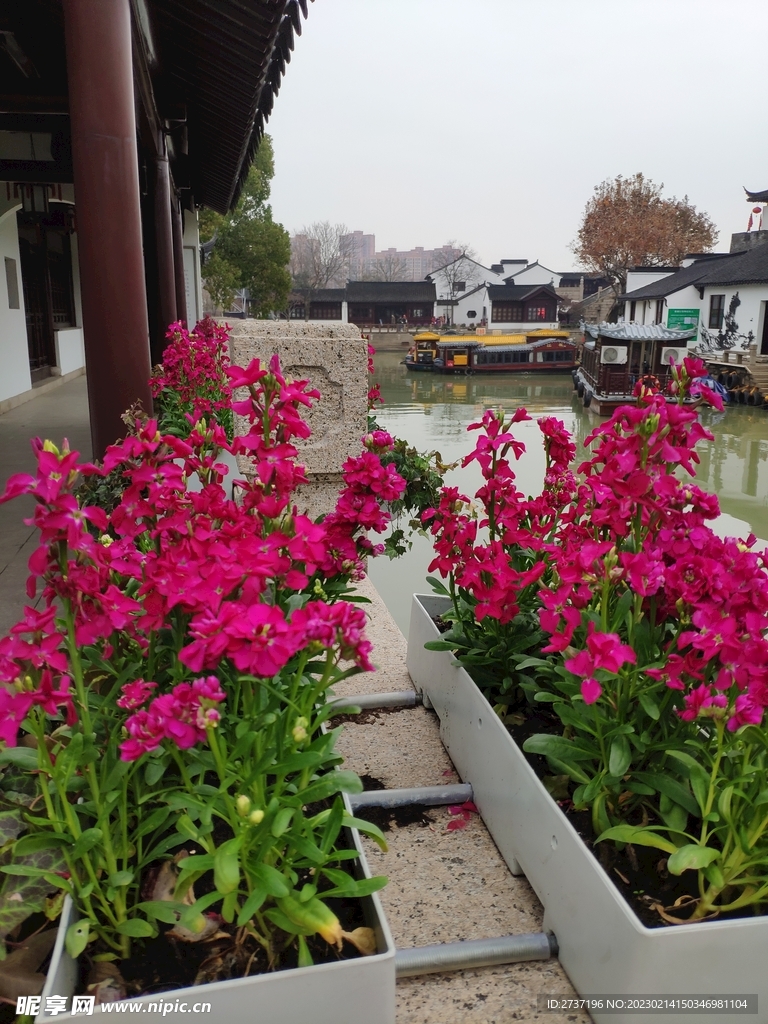 寒山寺