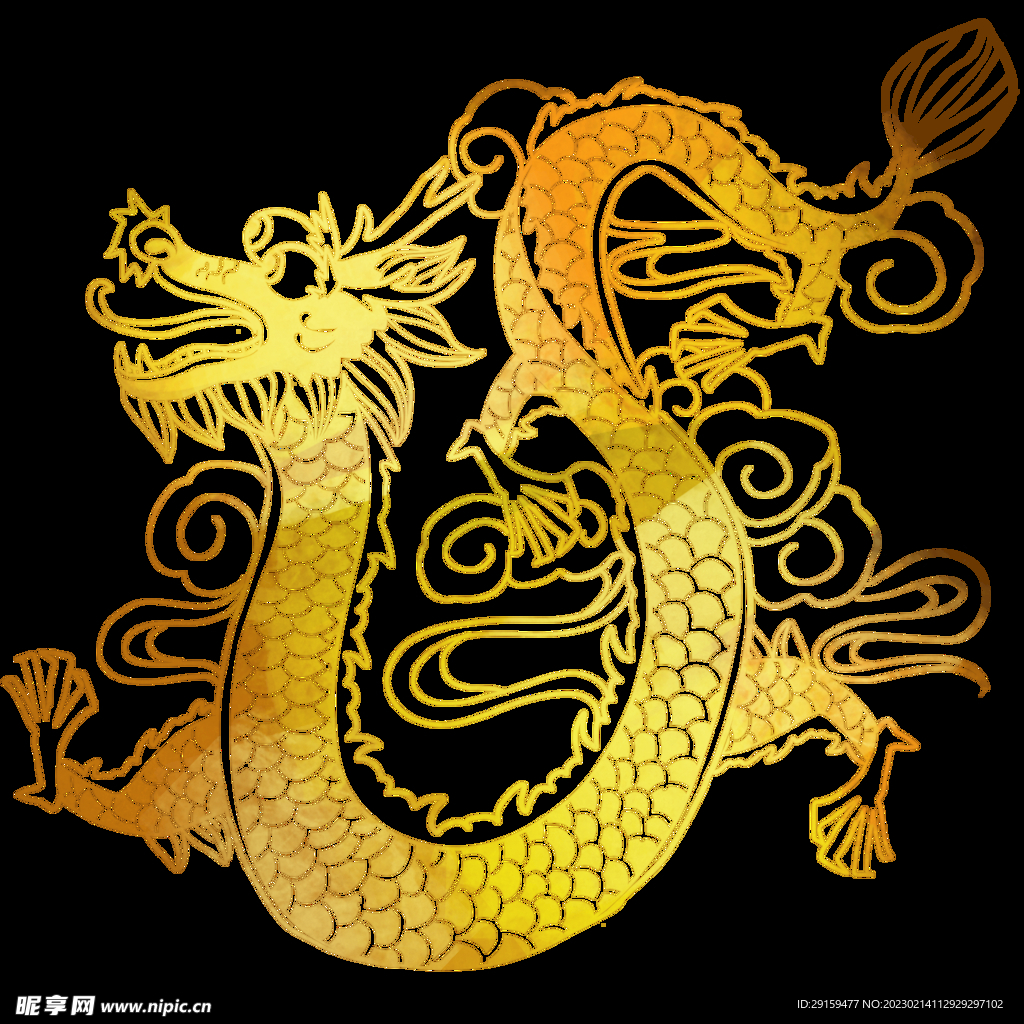 金龙 