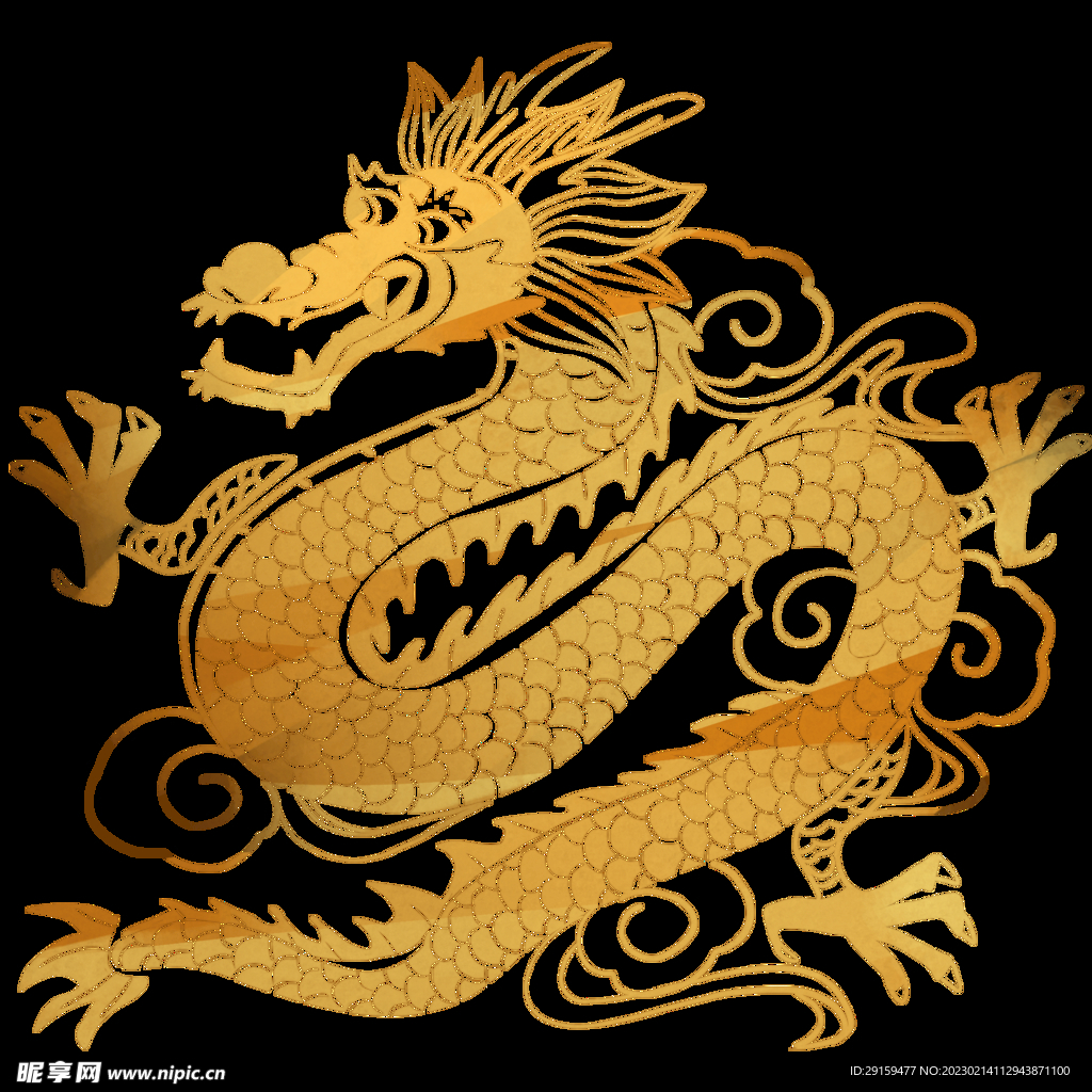 金龙 