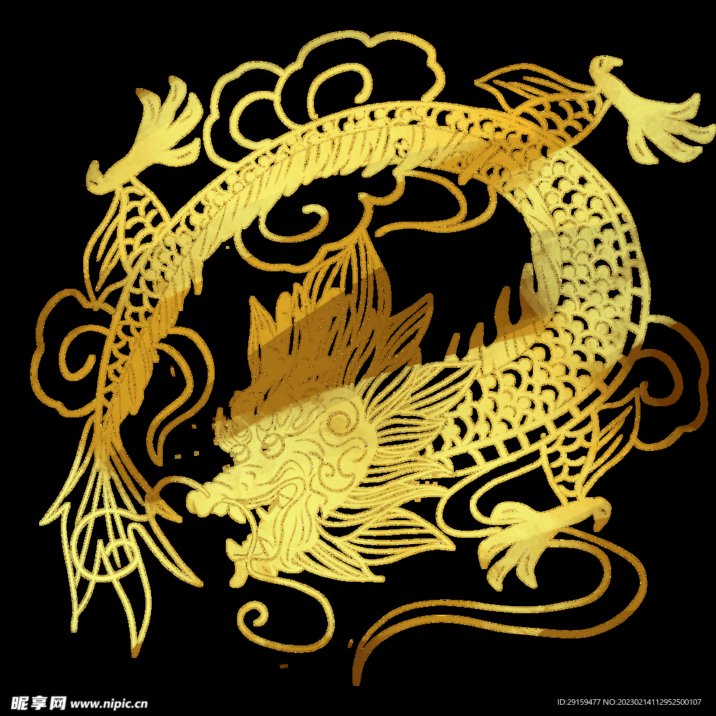 金龙 