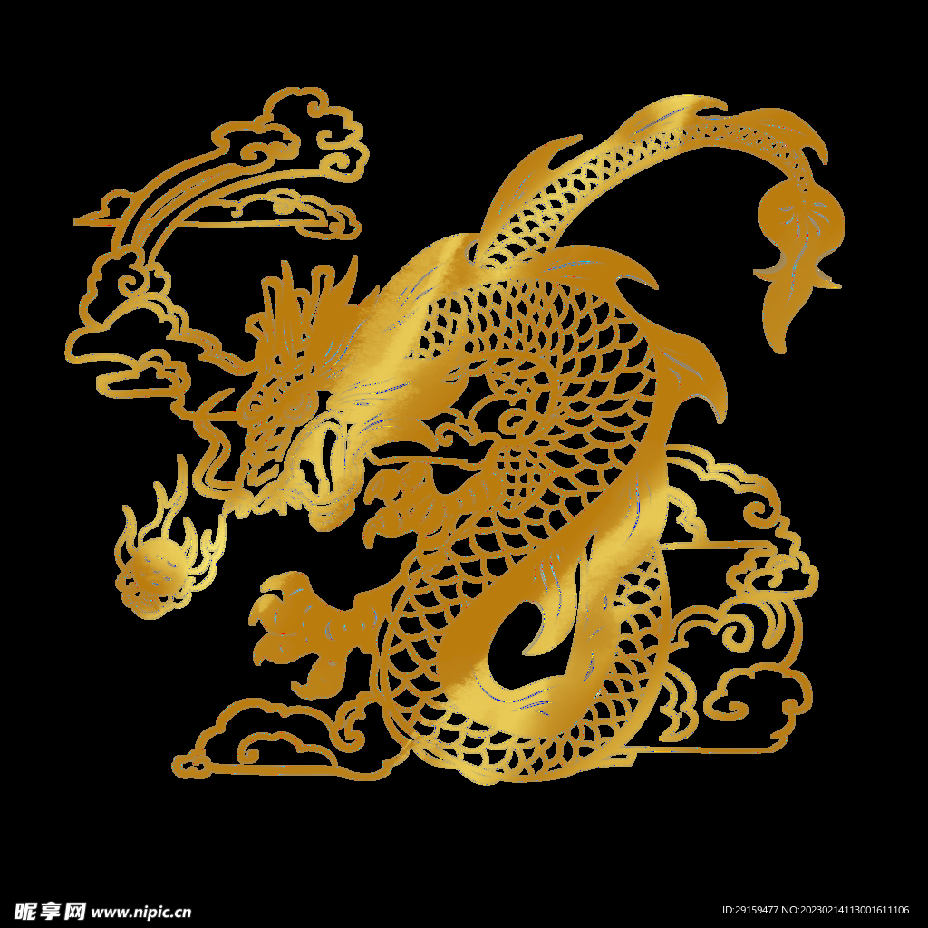 金龙 