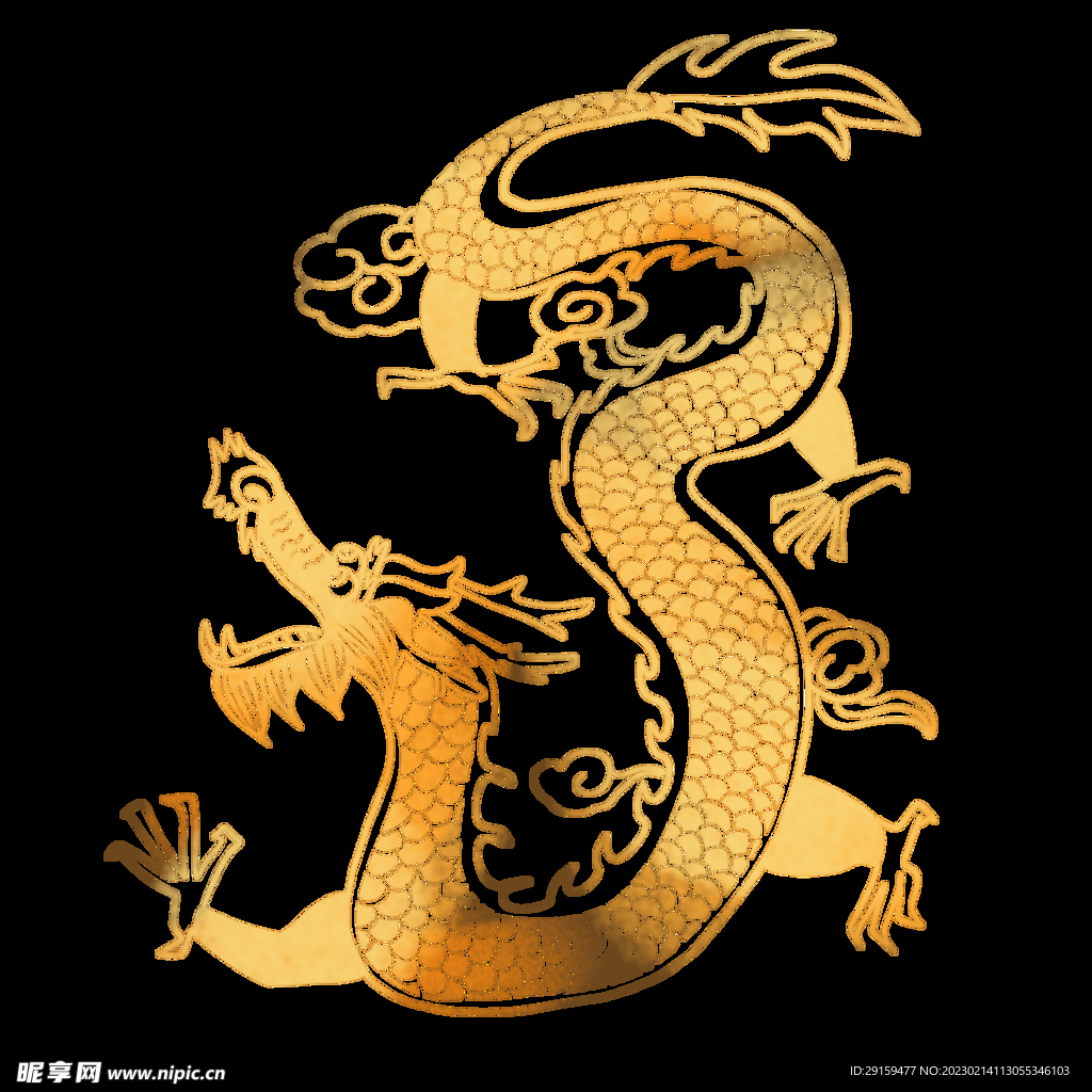 金龙 