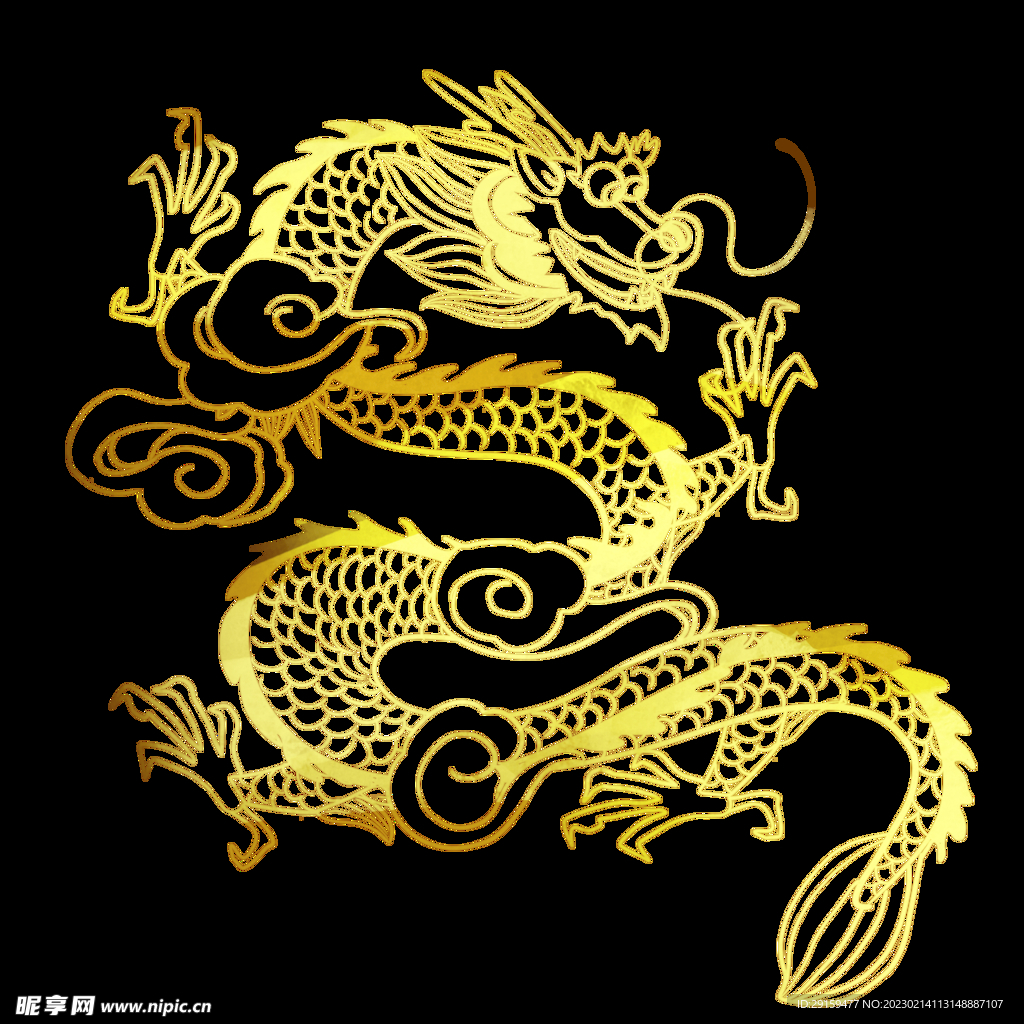 金龙 
