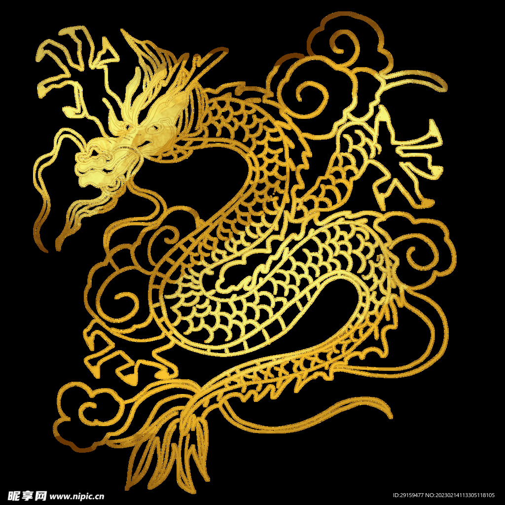 金龙 