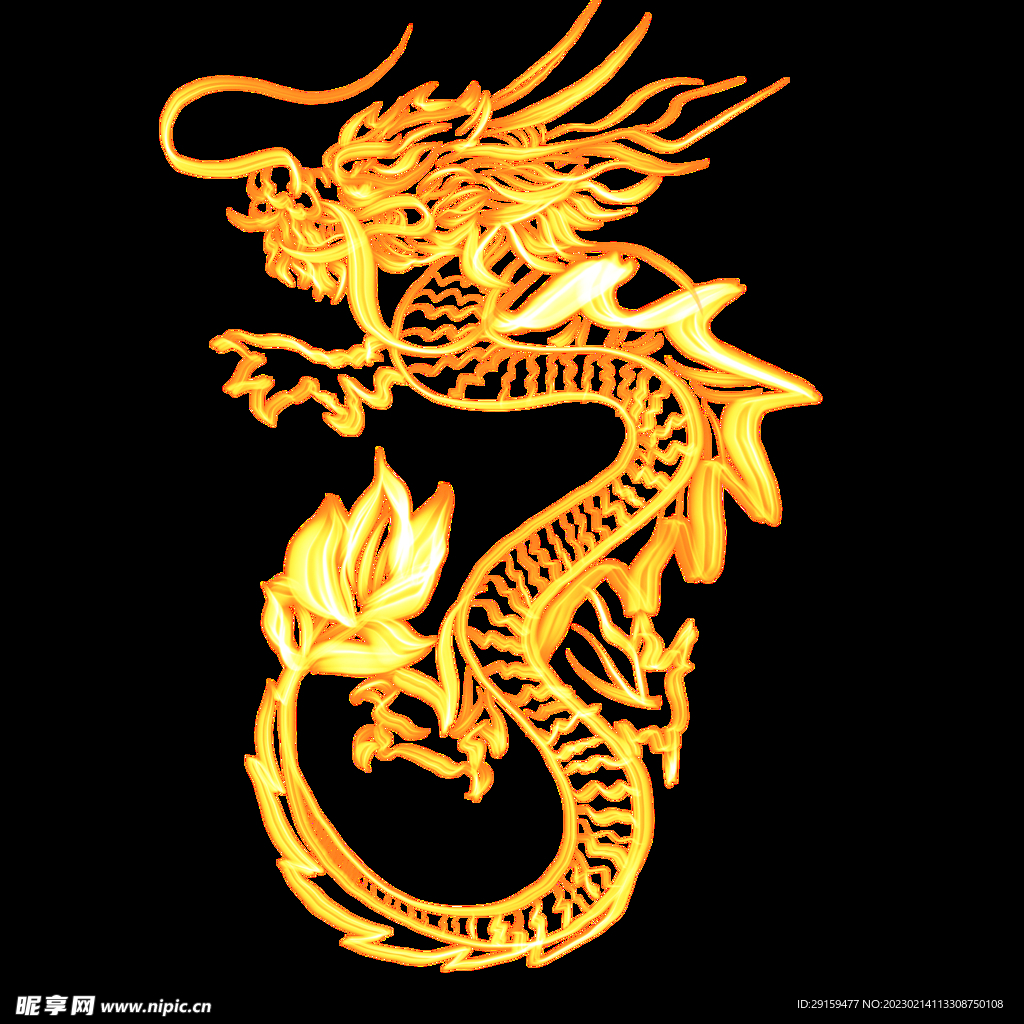 金龙