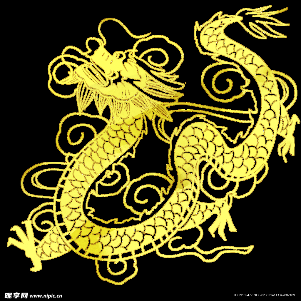 金龙 