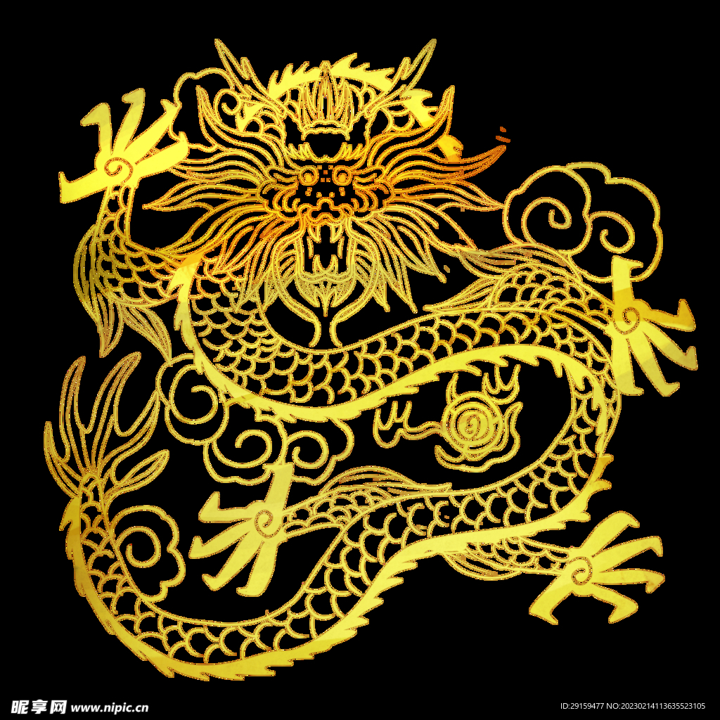 金龙 