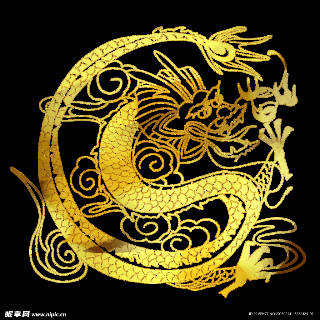 金龙 