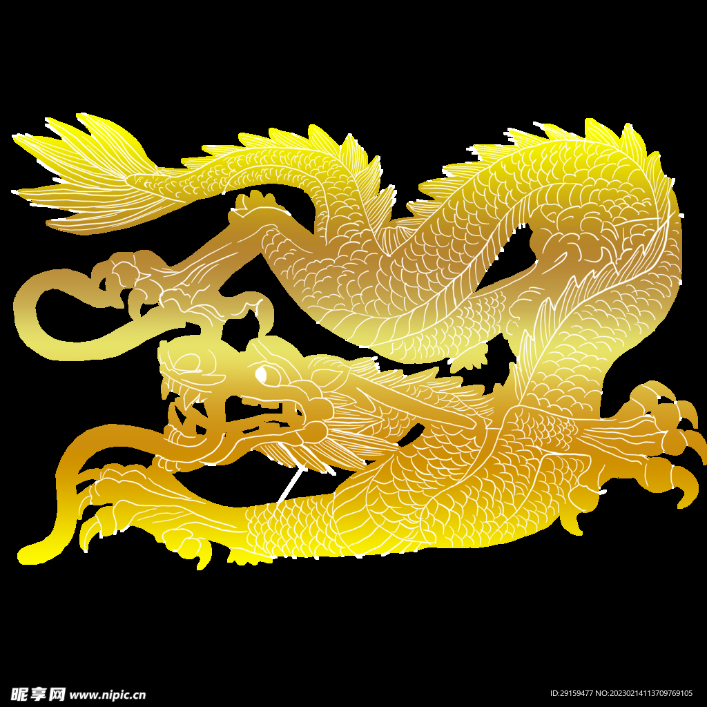 金龙 