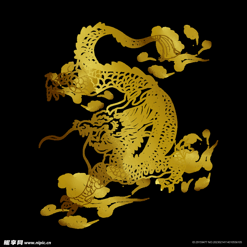 金龙 